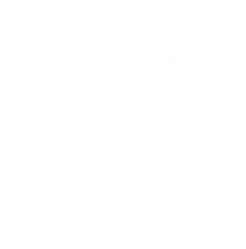 Internationaler Schützenbund (ISB)